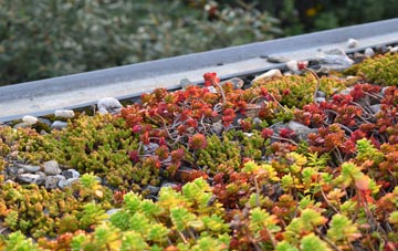 the cost of Bradley Mills green roof installation