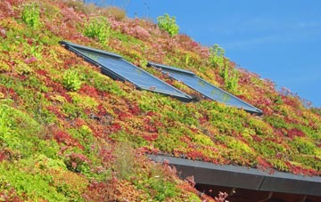 Bradley Mills living roof systems