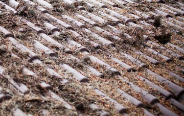 Bradley Mills roof cleaning companies